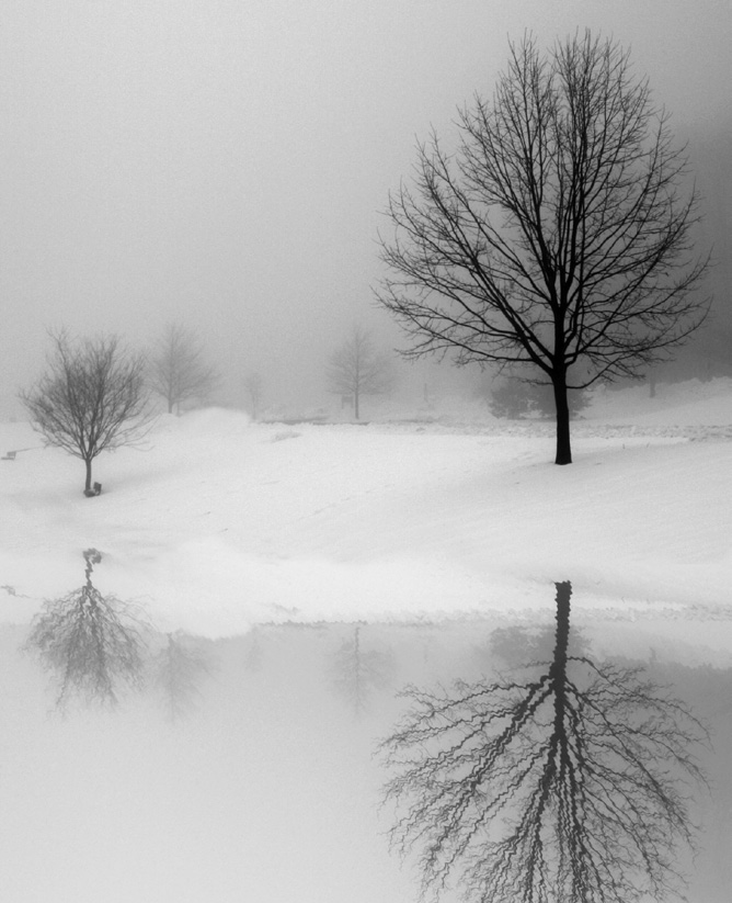 عکس  درخت برف و رودخانه در زمستان